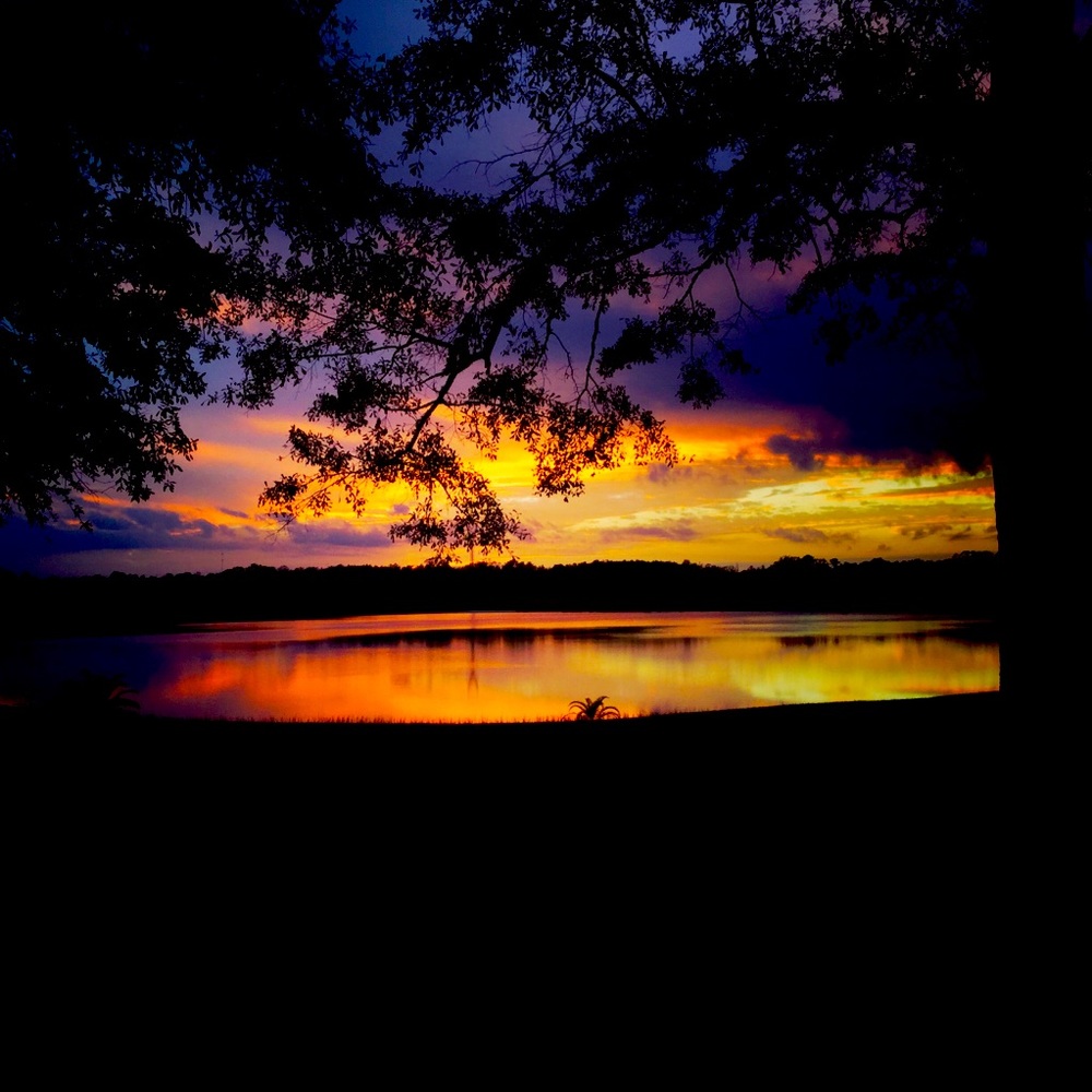 STORE CLOSING-make best offers!